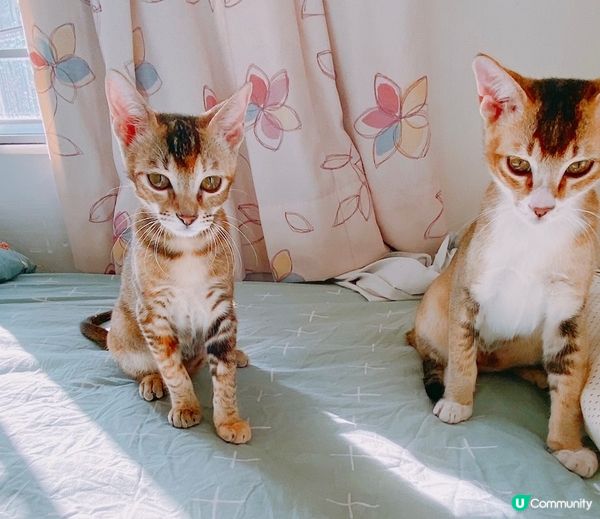 左右門神守住，留番d位比我好喎！😅