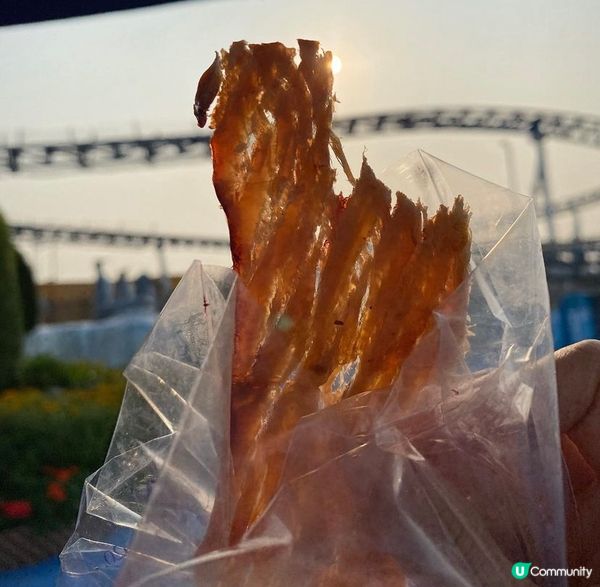 海洋公園烤魷魚🦑