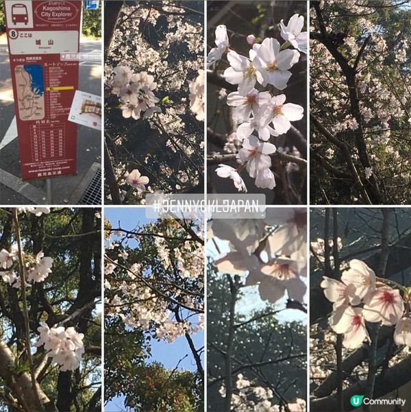 食到懷疑人生 🤣