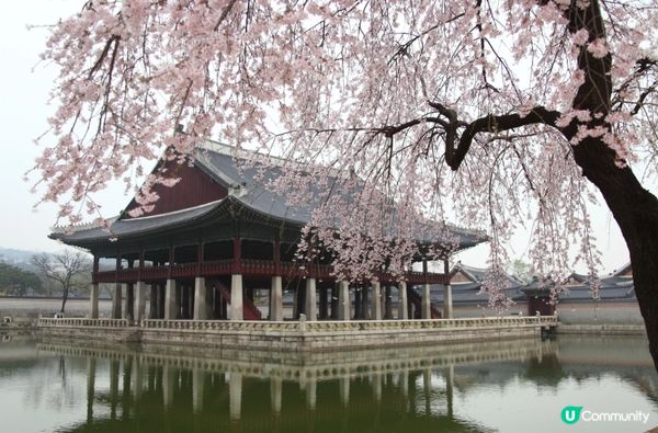 #Chill嘆酒店旅人祭  #別要再蝨眠