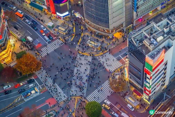 #Chill嘆酒店旅人祭  #別要再蝨眠