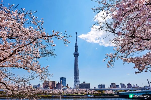 #Chill嘆酒店旅人祭  #別要再蝨眠