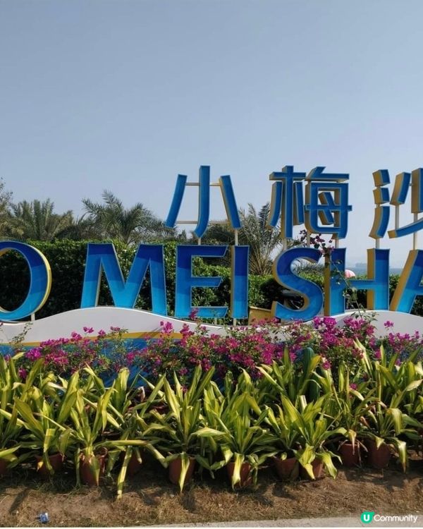 參觀海洋生物😍