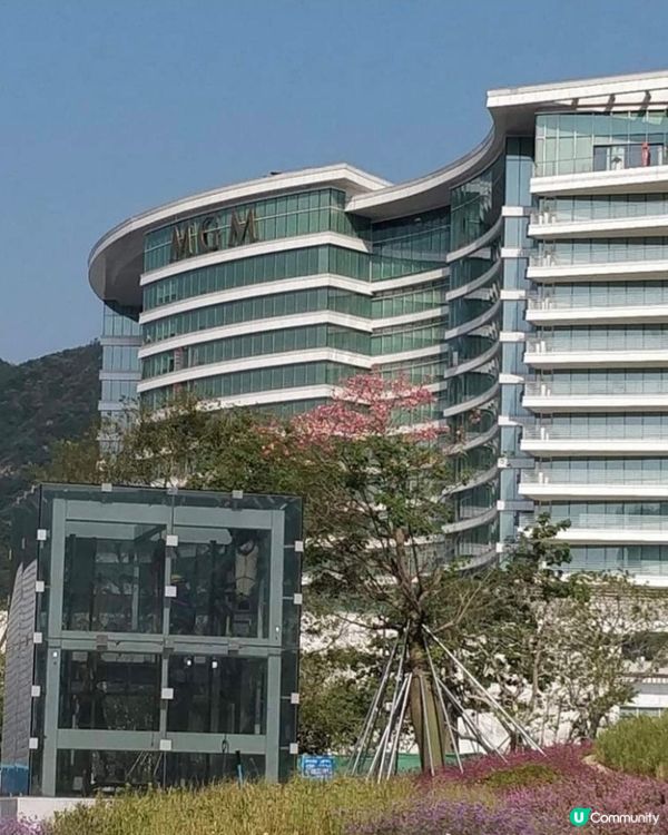 參觀海洋生物😍