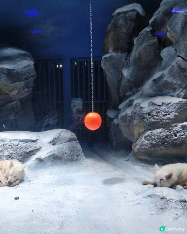 參觀海洋生物😍