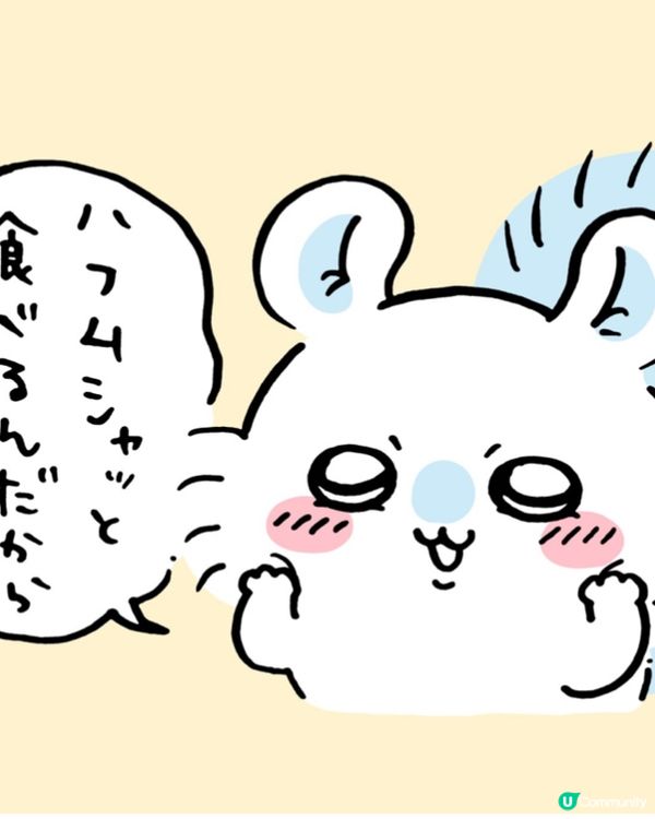 Chiikawa粉絲出動 #Chiikawa新品報料