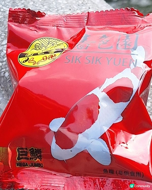 黃大仙飼