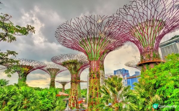 #淨白透亮520 #韓式髮型神器