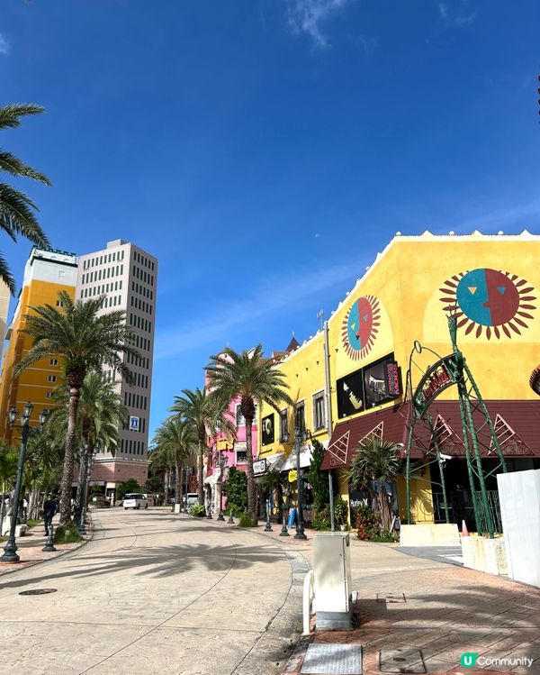 【 沖繩包車自訂行程,讓旅程更輕鬆方便 】