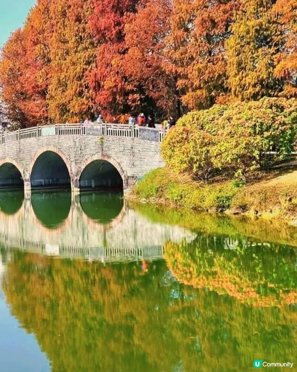 可以去內地睇紅葉