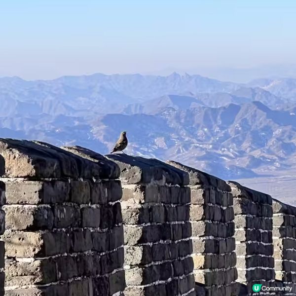 不到長城非好漢