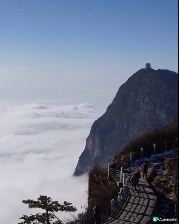 峨嵋山清晨雲海