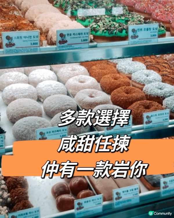 濟洲人氣donuts 店