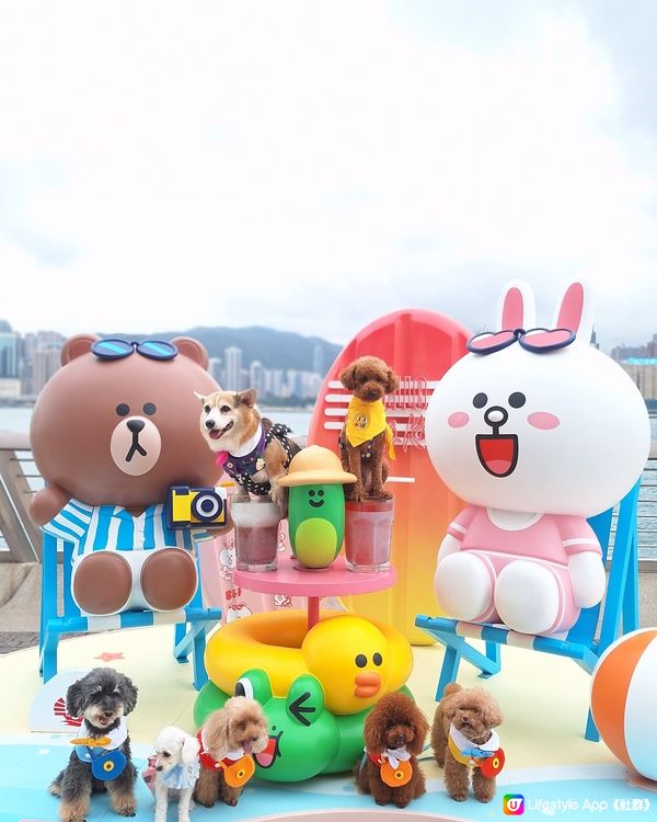 【🐲👒LINE FRIENDS 夏日龍舟造型即時睇 星光