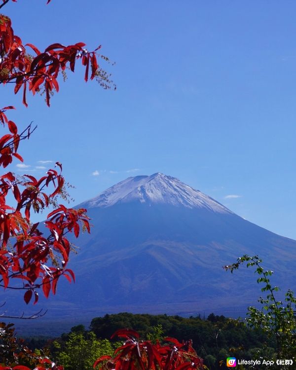 近距離欣賞富士山之美🗻