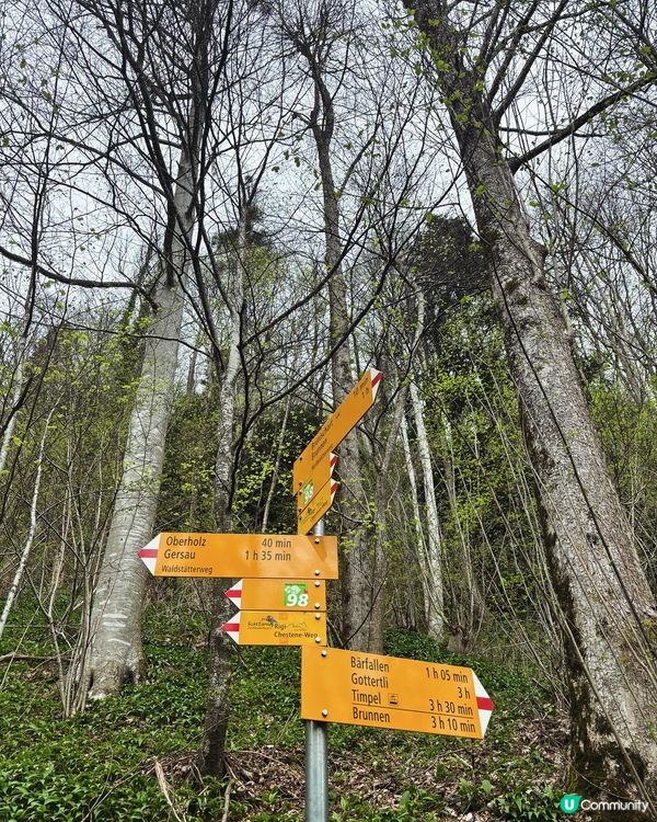 《行山務必注意的標誌》🥾