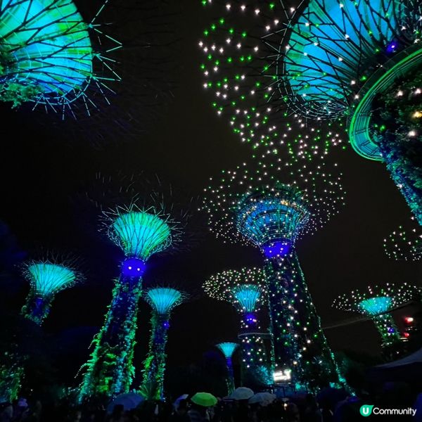 🌳夜晚超靚天空樹✨💫