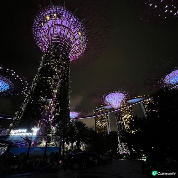 🌳夜晚超靚天空樹✨💫