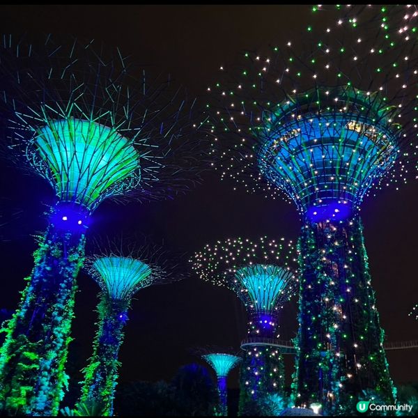 🌳夜晚超靚天空樹✨💫