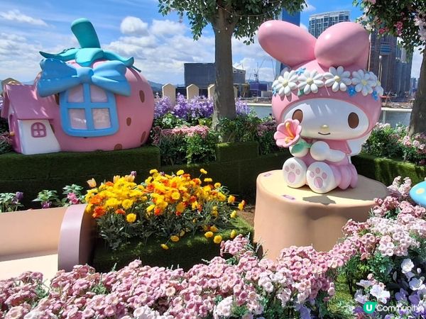 summer melody 