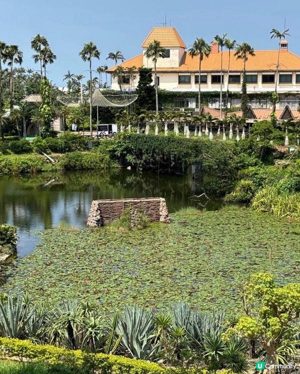 沖繩陽光海灘以外嘅好去處-東南植物樂園