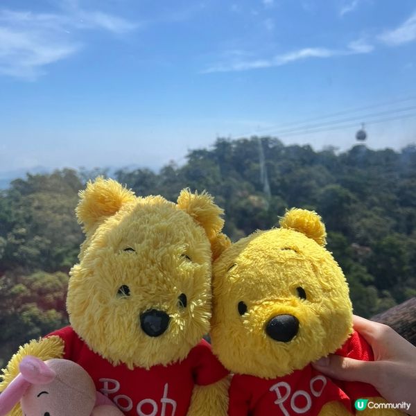 巴拿山佛手柑橋打卡📸  纜車上睇靚景🤩 