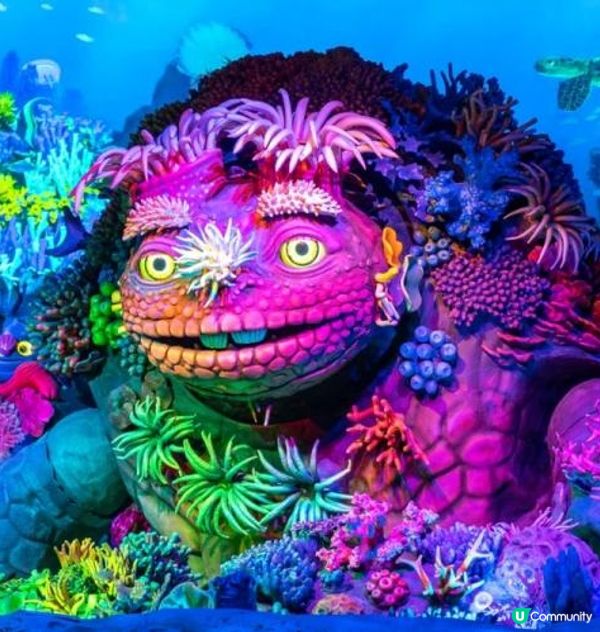 玩盡三天珠海長隆+澳門豪華酒店包來回車票