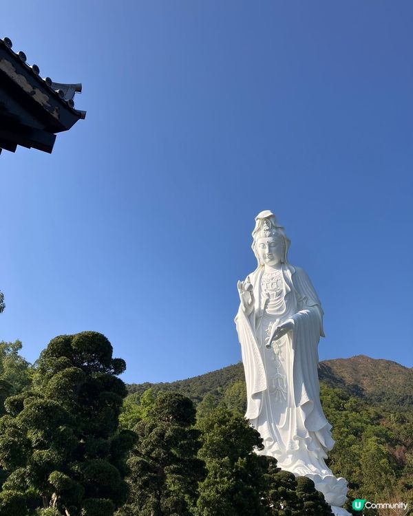 重遊大埔慈山寺