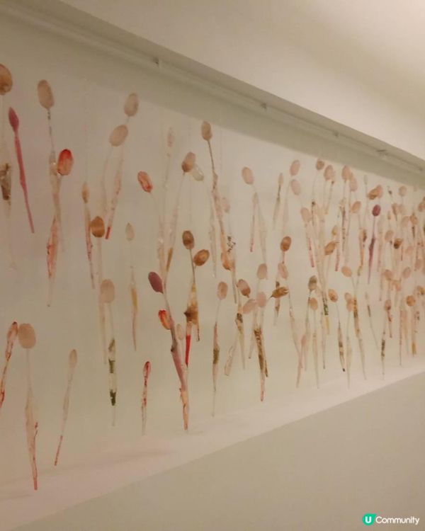 尋寶在上環的藝術空間