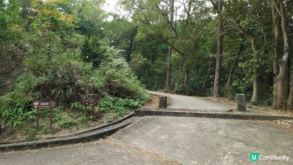 沙田行去慈雲山超簡單Round2︱風景升級版路線︱「蝌蚪坪」望哂全沙田【香港郊遊20】