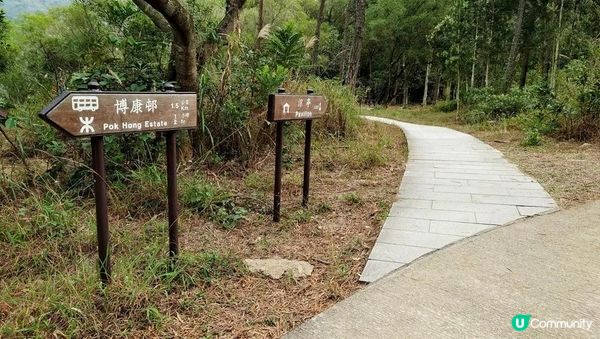 沙田行去慈雲山超簡單Round2︱風景升級版路線︱「蝌蚪坪」望哂全沙田【香港郊遊20】