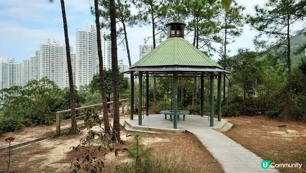 沙田行去慈雲山超簡單Round2︱風景升級版路線︱「蝌蚪坪」望哂全沙田【香港郊遊20】