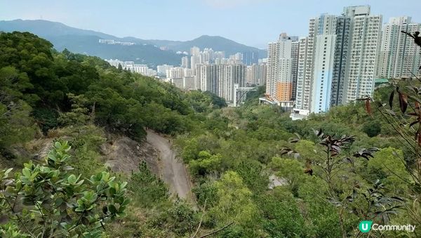 沙田行去慈雲山超簡單Round2︱風景升級版路線︱「蝌蚪坪」望哂全沙田【香港郊遊20】