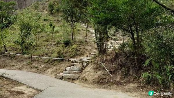 沙田行去慈雲山超簡單Round2︱風景升級版路線︱「蝌蚪坪」望哂全沙田【香港郊遊20】