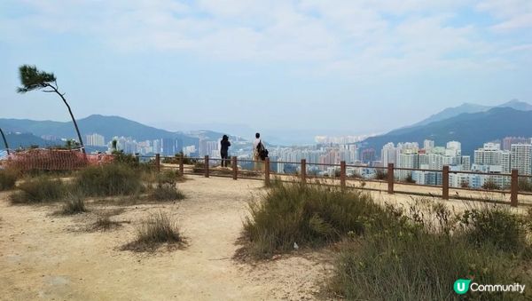 沙田行去慈雲山超簡單Round2︱風景升級版路線︱「蝌蚪坪」望哂全沙田【香港郊遊20】