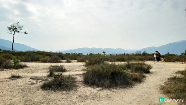 沙田行去慈雲山超簡單Round2︱風景升級版路線︱「蝌蚪坪」望哂全沙田【香港郊遊20】