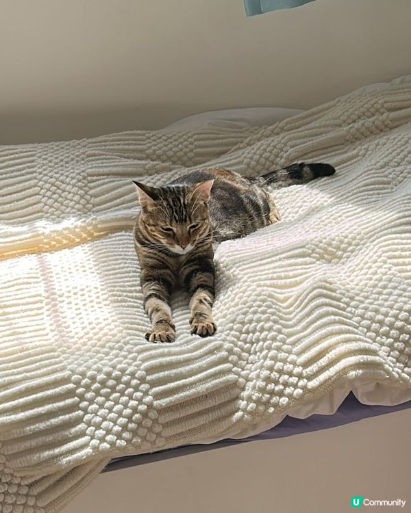 手仔好得意🫶🏻