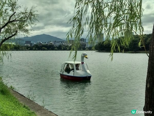 福岡好去處～大濠公園