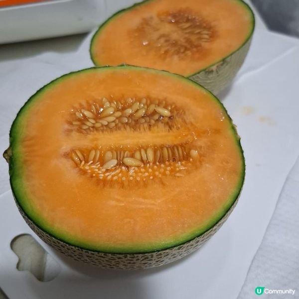 🫡 歡迎關注我嘅戶口､訂閱我嘅YouTube頻道, foll...