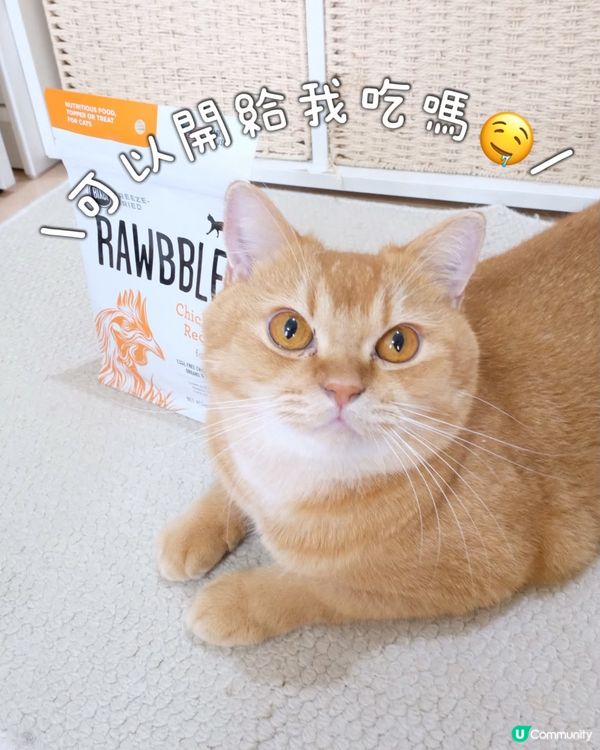 試食貓主食糧