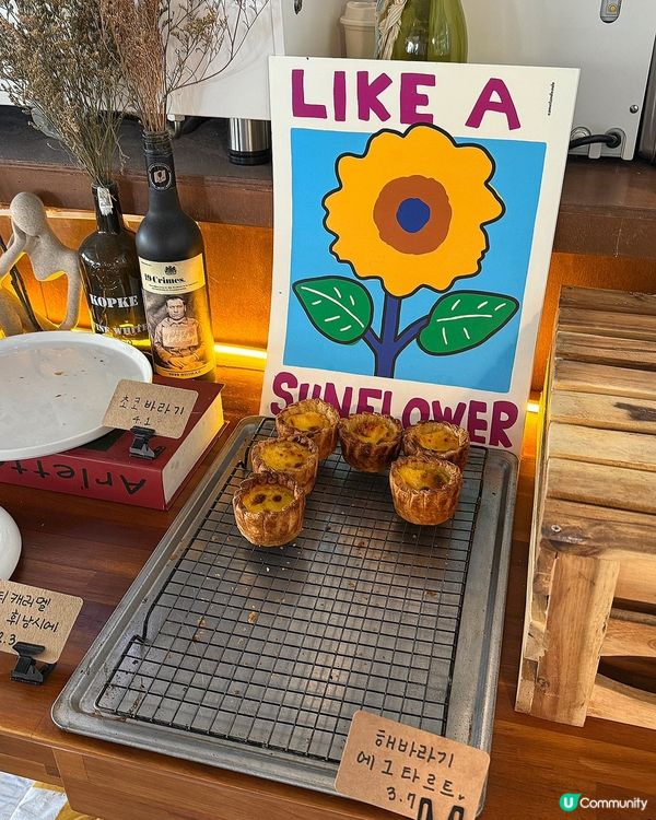 🇰🇷釜山必食手工蛋撻‼️士多啤梨開心果撻💗