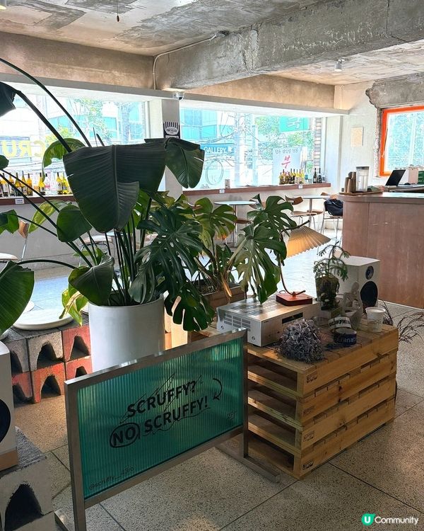 🇰🇷釜山必食手工蛋撻‼️士多啤梨開心果撻💗