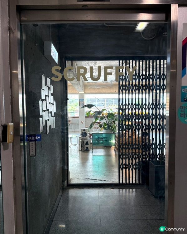 🇰🇷釜山必食手工蛋撻‼️士多啤梨開心果撻💗