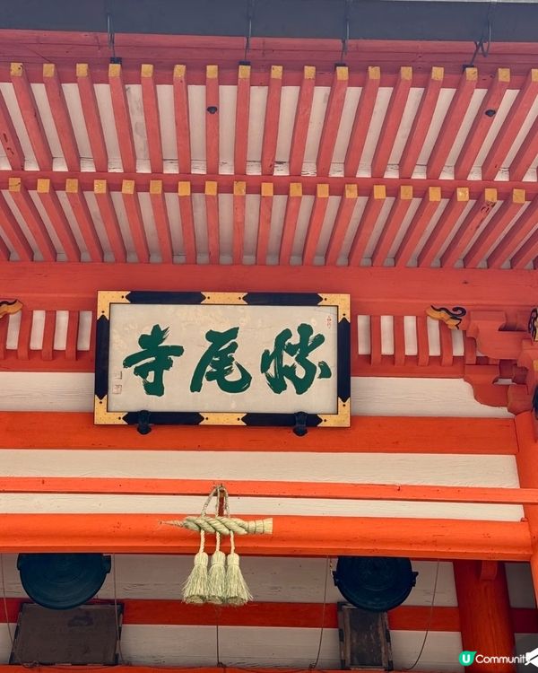 達摩⛰️求勝運！關西秘境勝尾寺 🤩