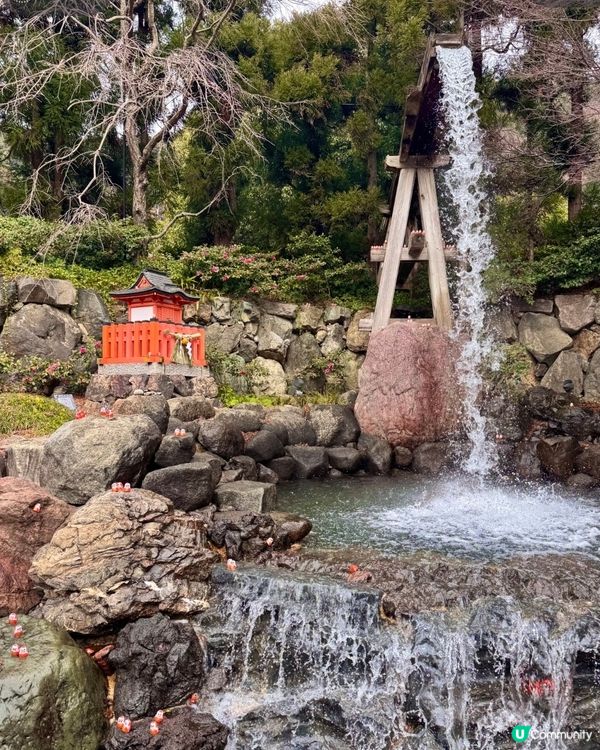 達摩⛰️求勝運！關西秘境勝尾寺 🤩