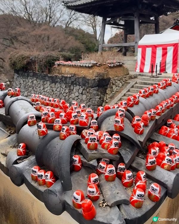 達摩⛰️求勝運！關西秘境勝尾寺 🤩