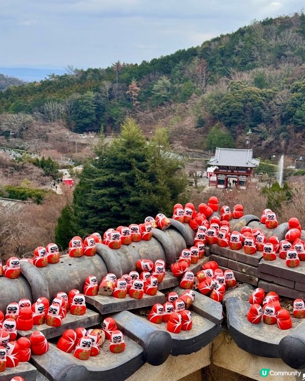 達摩⛰️求勝運！關西秘境勝尾寺 🤩