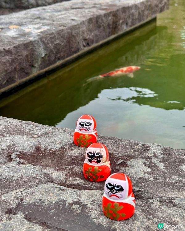 達摩⛰️求勝運！關西秘境勝尾寺 🤩