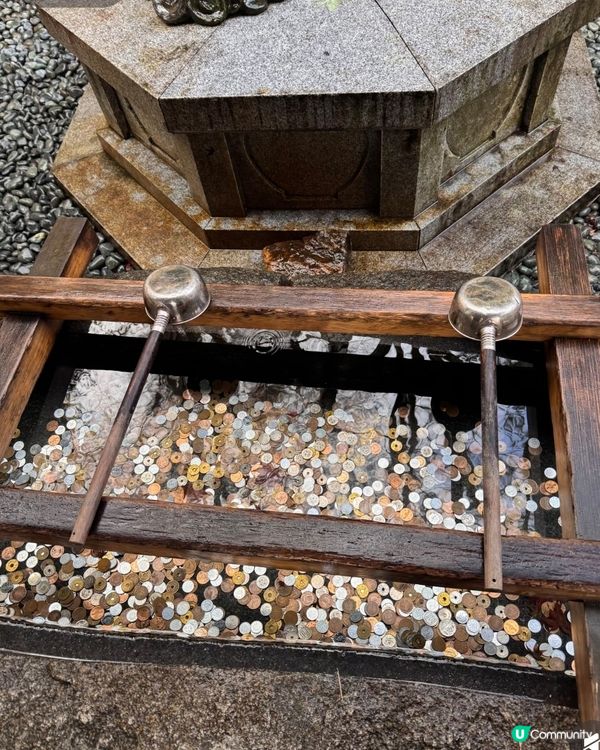 達摩⛰️求勝運！關西秘境勝尾寺 🤩