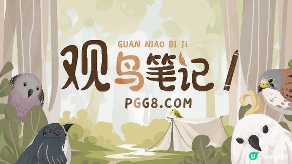 《觀鳥筆記》試玩版開放PG下載，在鳥鳴聲中玩家體驗慢活日常